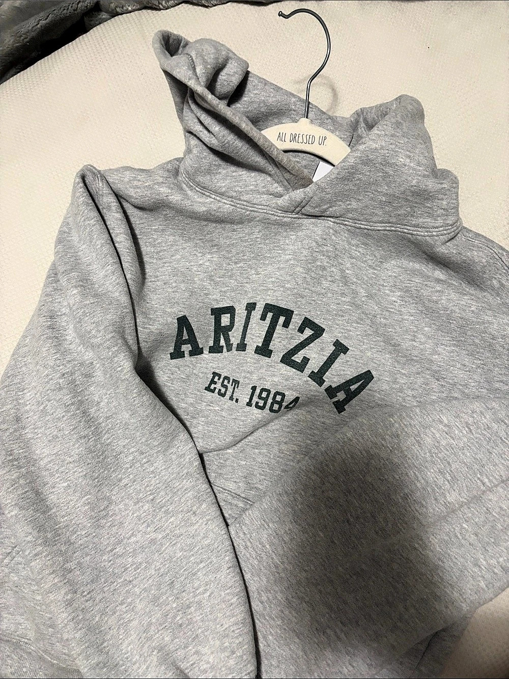 ARTZIA Graphic Hoodie in Gray Like New